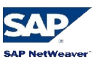 SAP 6